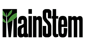 MainStem